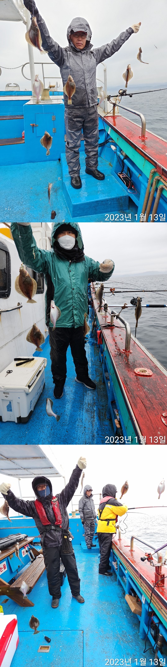 21인승 비너스허 어구가자미조황 1/13