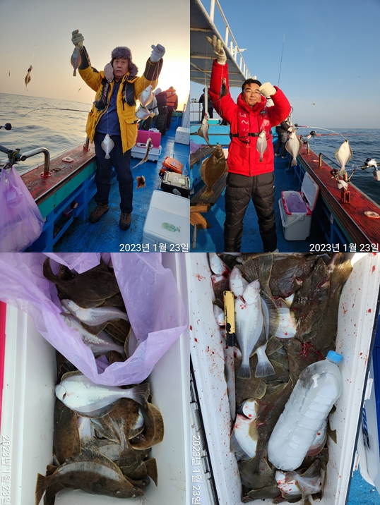 21인승 비너스호 어구가자미조황