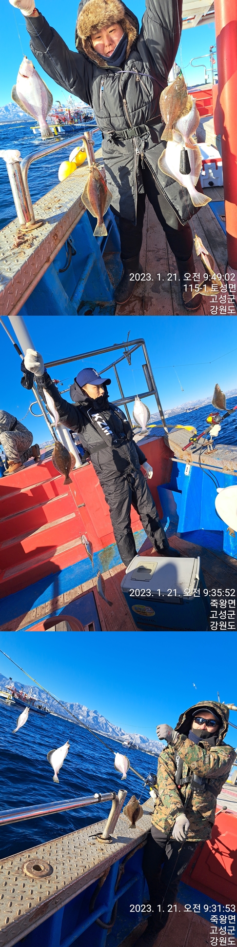 성복호 어구가자미쿨러조황 1/21