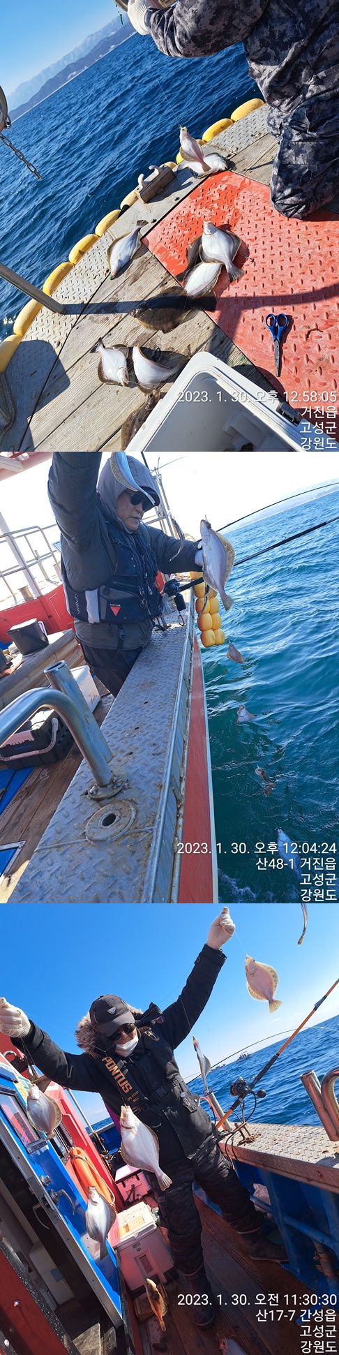성복호 어구가자미 쿨러조황