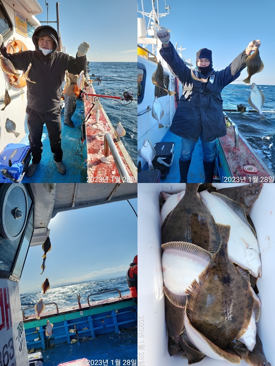 21인승비너스호 어구가자미 대박