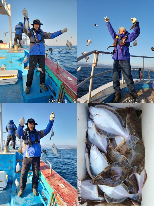 21인승 비너스호 어구가자미조황