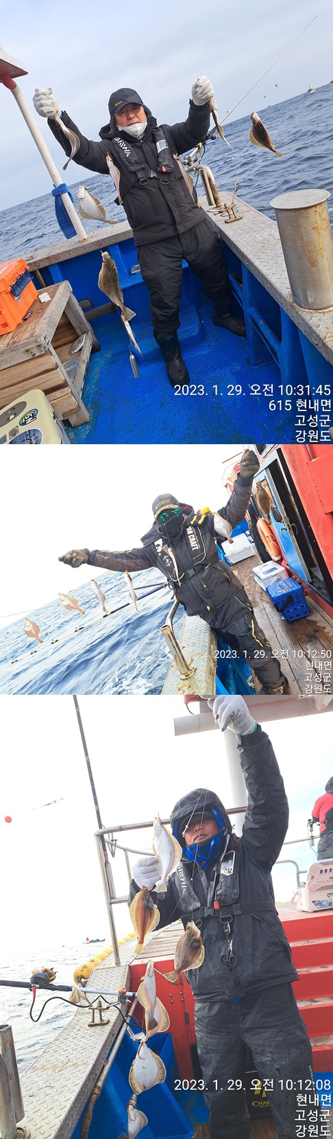 성복호 어구가자미쿨러조황 1/29