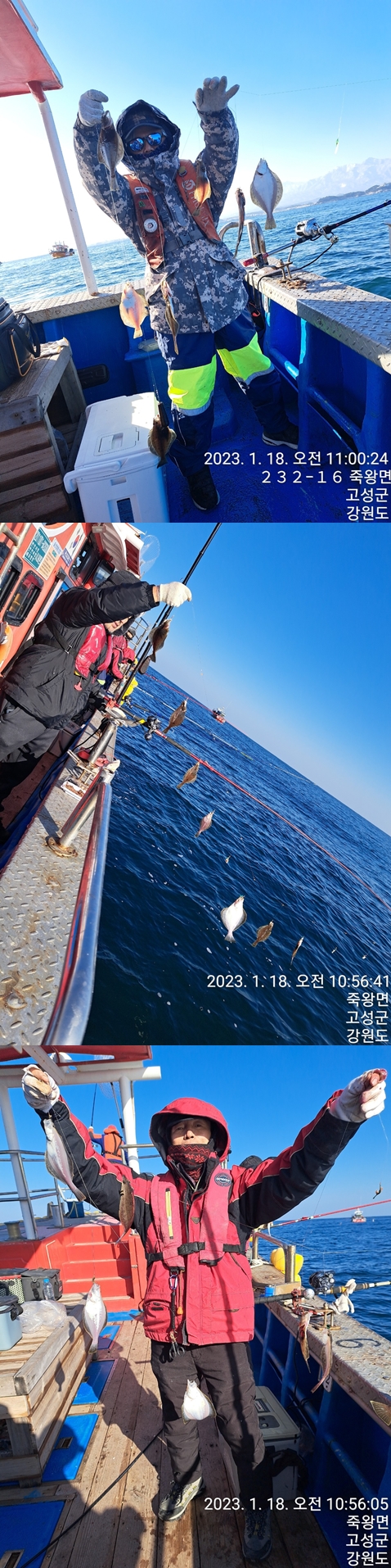 성복호 어구가자미조황