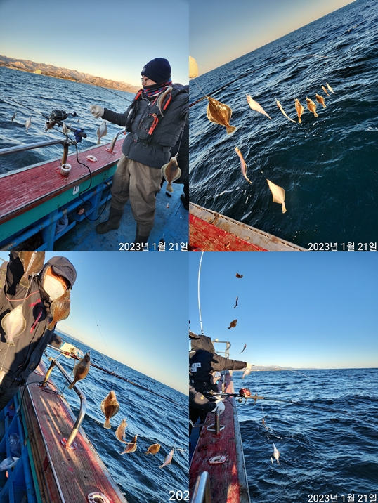 21인승 비너스호 어구가자미 쿨러조황 1/21