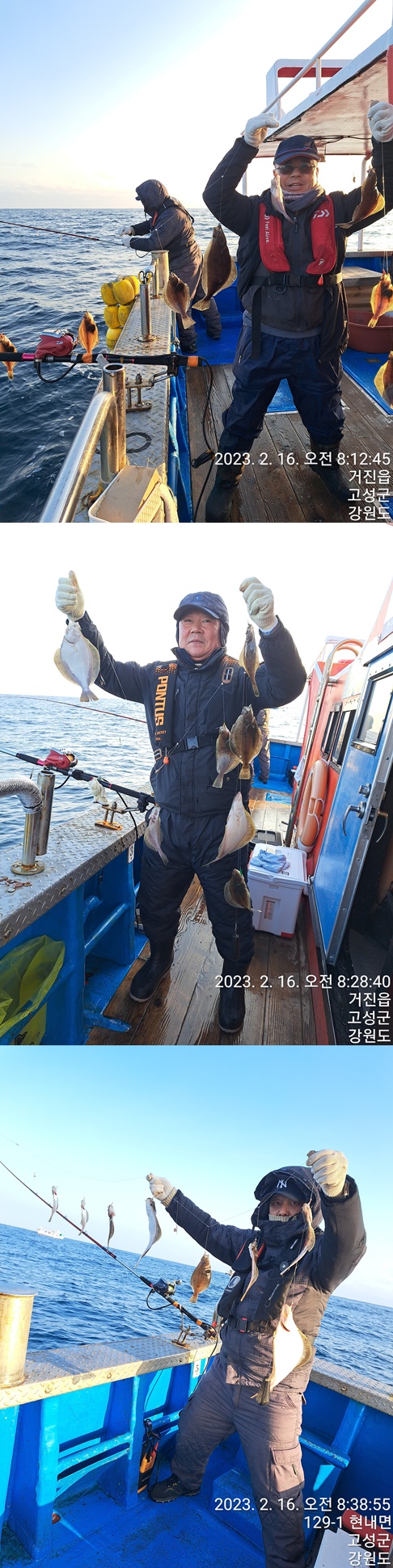 성복호 어구가자미 쿨러대박