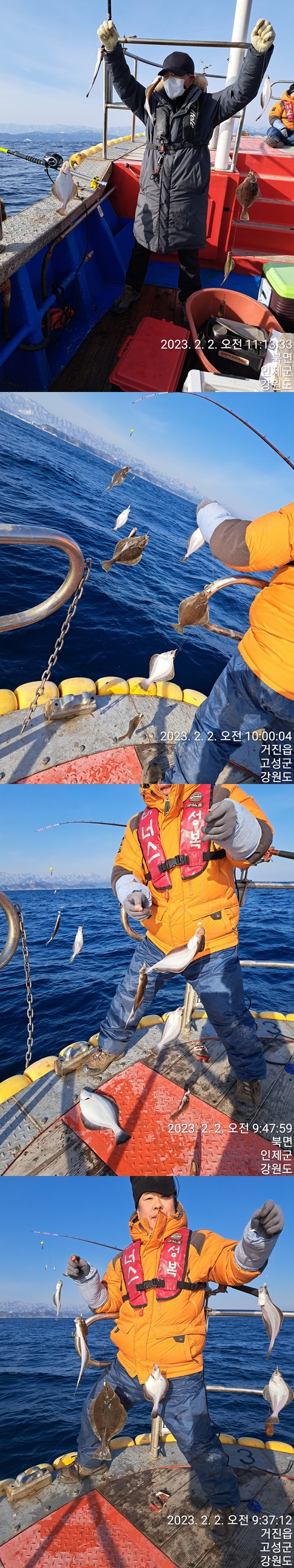 성복호어구가자미 쿨러대박