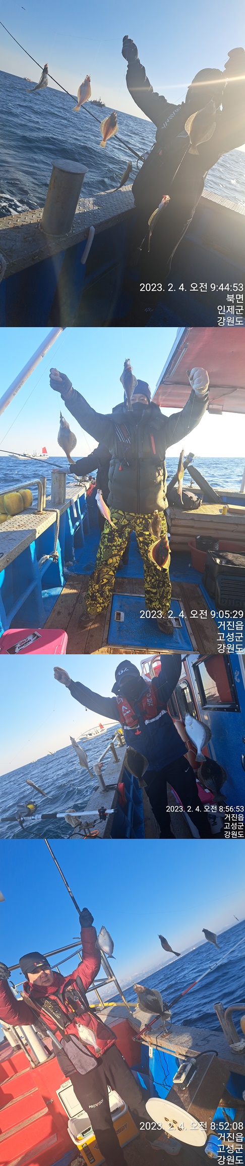 성복호 어구가자미 쿨러대박