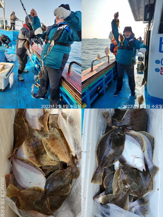 21인승 비너스호 어구가자미 쿨러조황