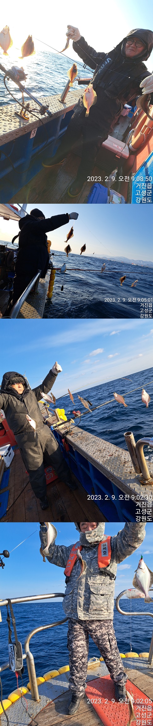 성복호 어구가자미 쿨러조황