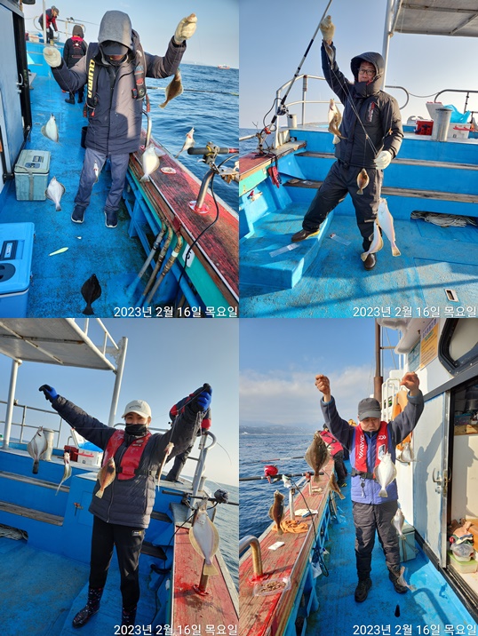 21인승 비너스호어구가자미쿨러대박