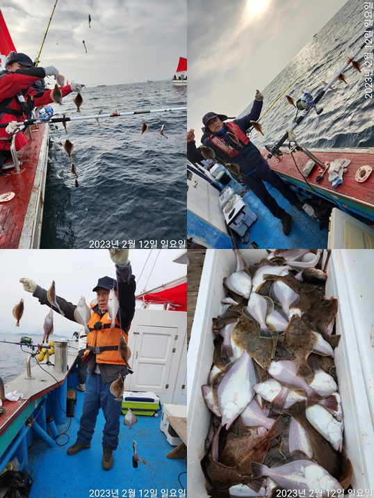 21인승 비너스호 어구가자미쿨러조황 2/12