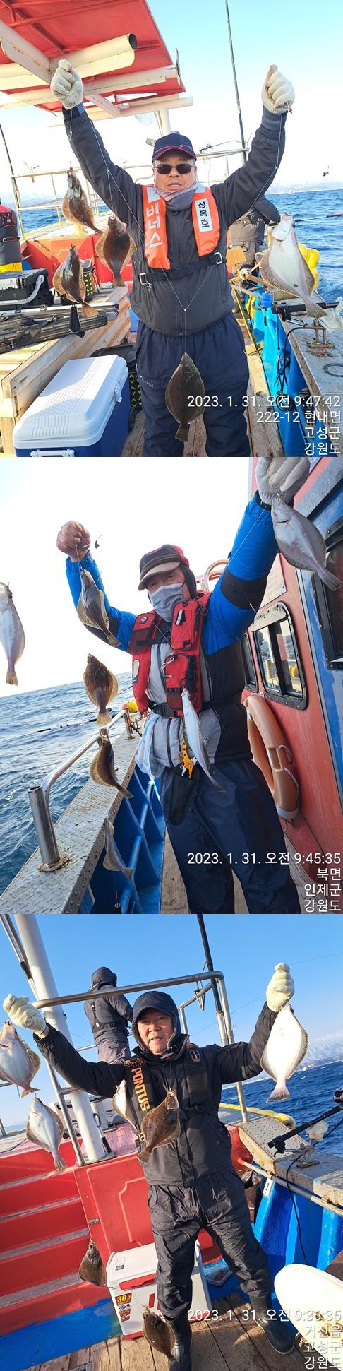 성복호 어구가자미쿨러조황 1/31