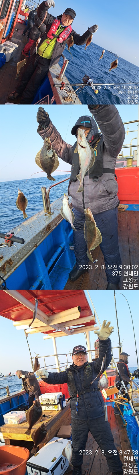 성복호 어구가자미쿨러조황