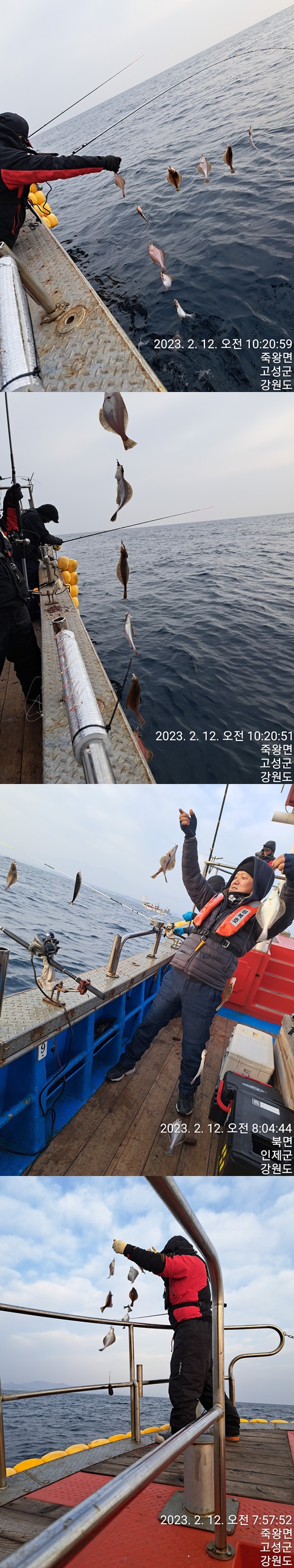 성복호 어구가자미 쿨러조황 2/12