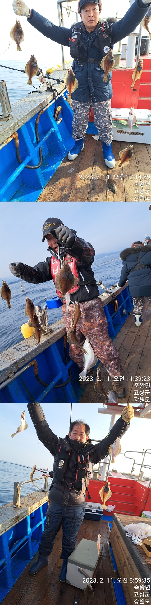 성복호 어구가자미쿨러대박