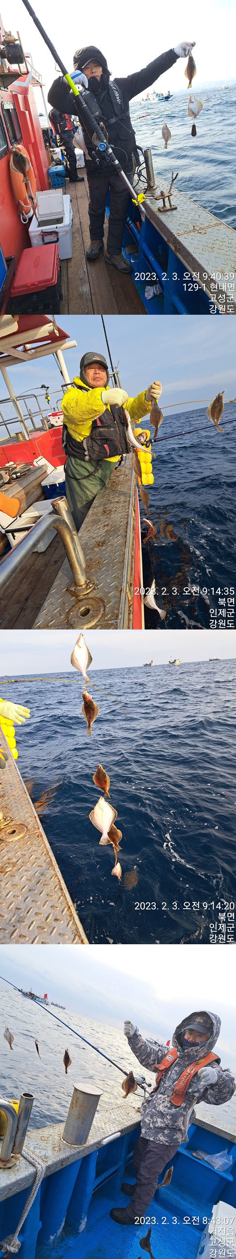 성복호 어구가자미만선