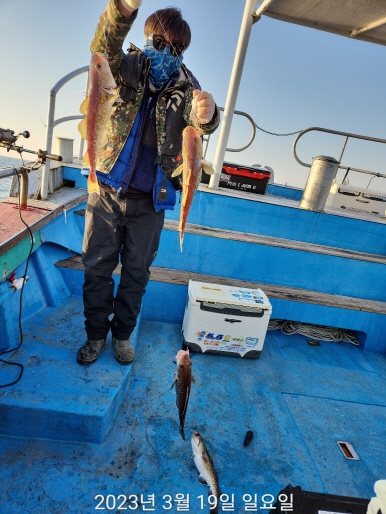 21인승 비너스호 대구 조황