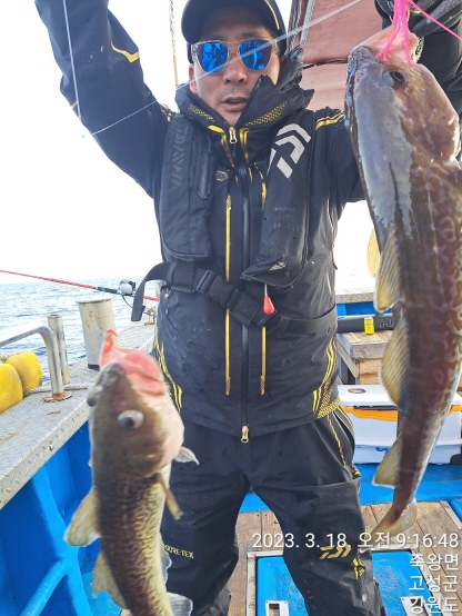 성복호 어구가자미,대구 조황