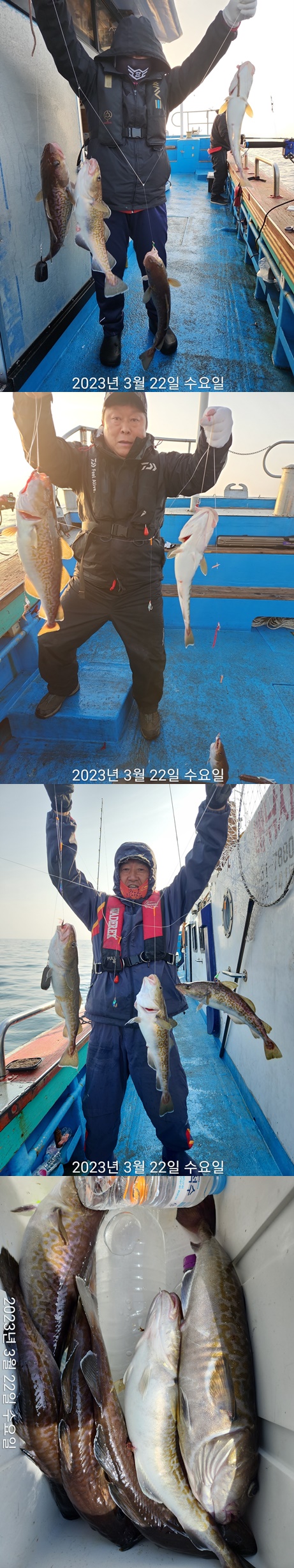 21인승 비너스호 대구조황