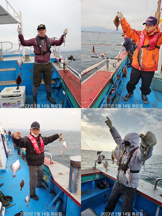 21인승 비너스호 어구가자미조황 3/14