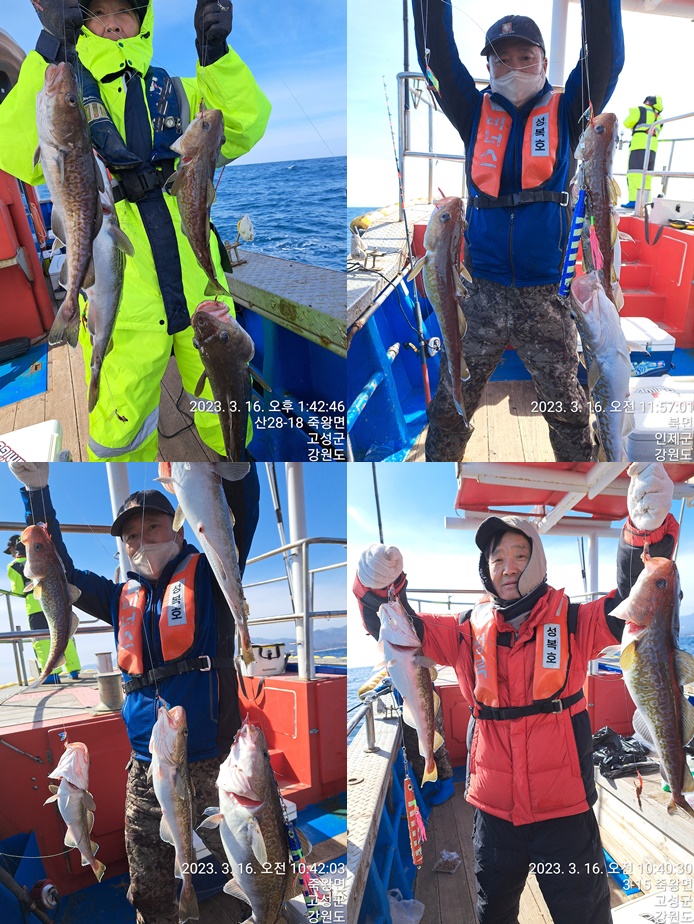 성복호 대구대박