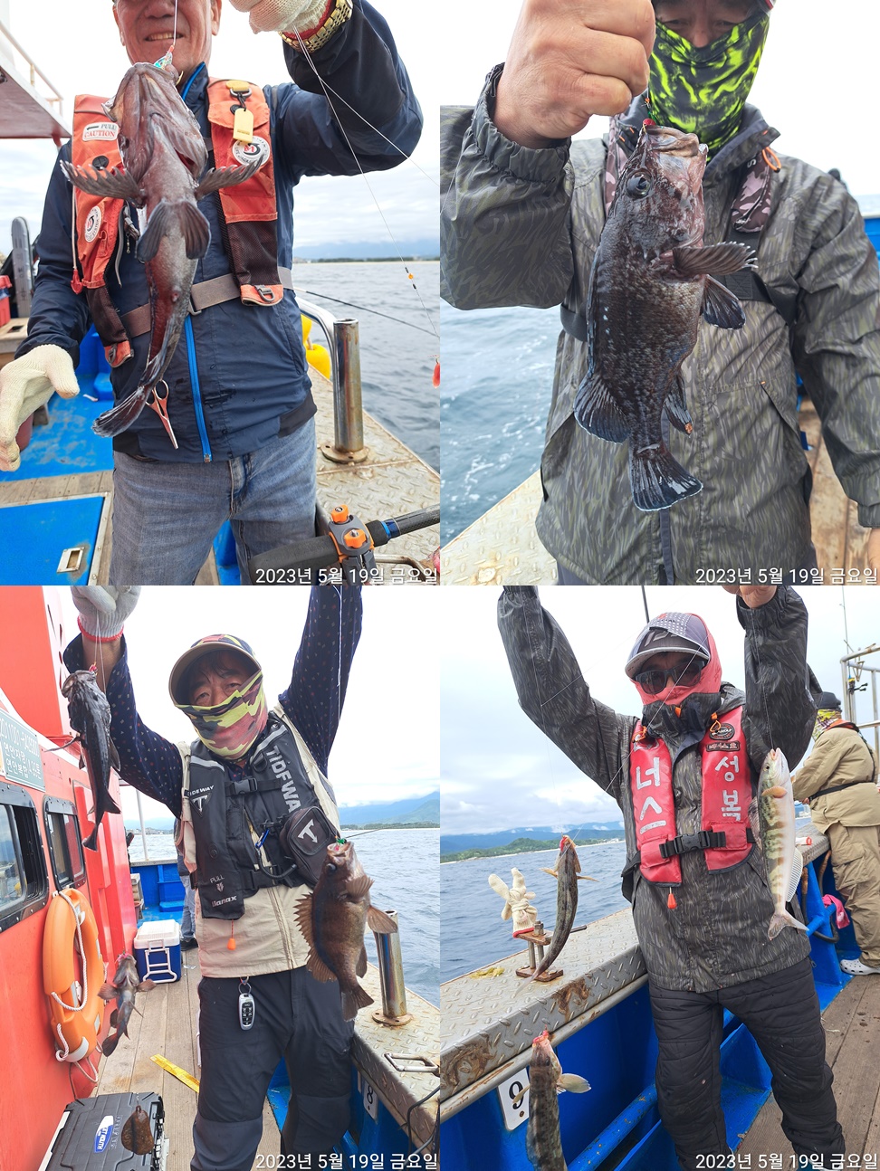 성복호 우럭 볼락 조황