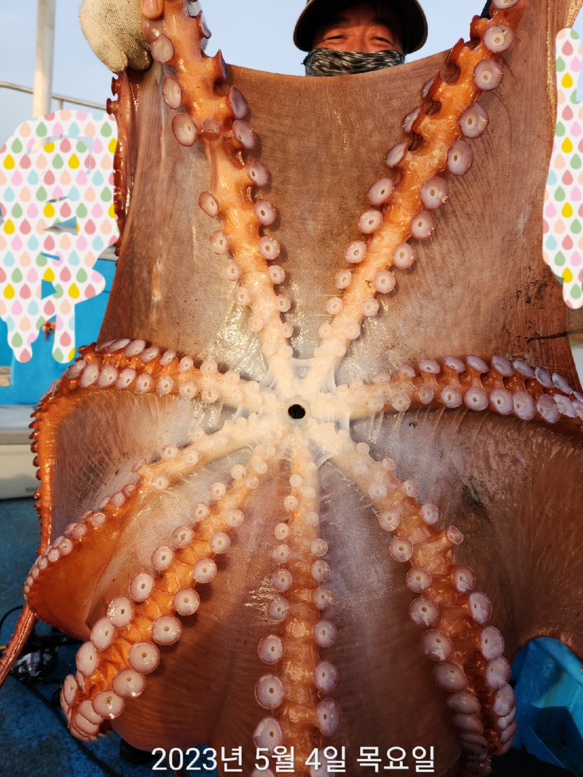 21인승 비너스호 5/4 대왕문어 굿!!! 조황소식