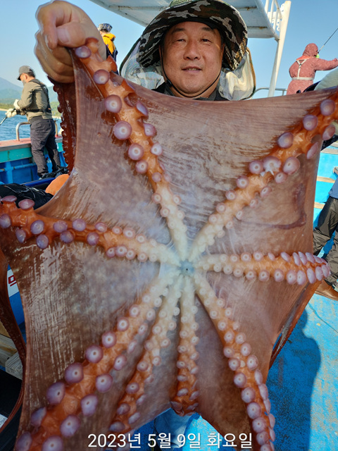 21인승비너스호 문어조황