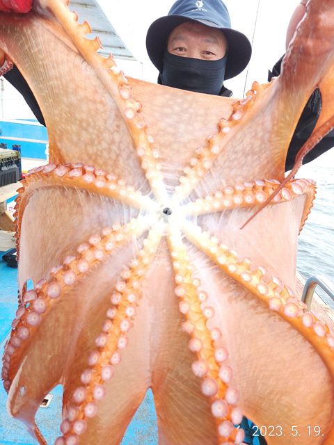 21인승비너스호 문어조황