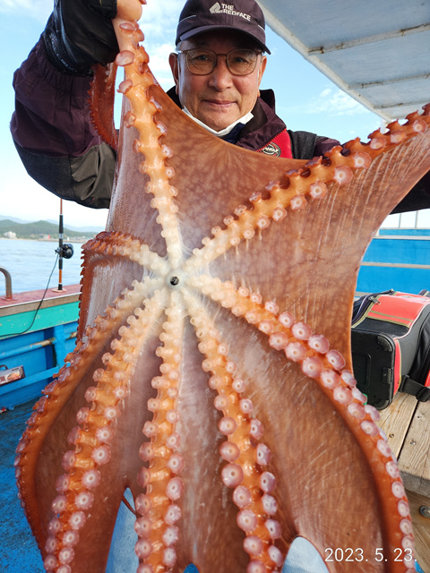 21인승비너스호 문어조황  5/23