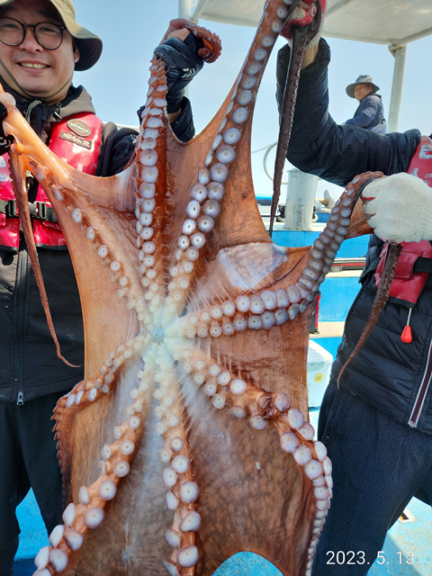 21인승 비너스호 문어조황 5/13