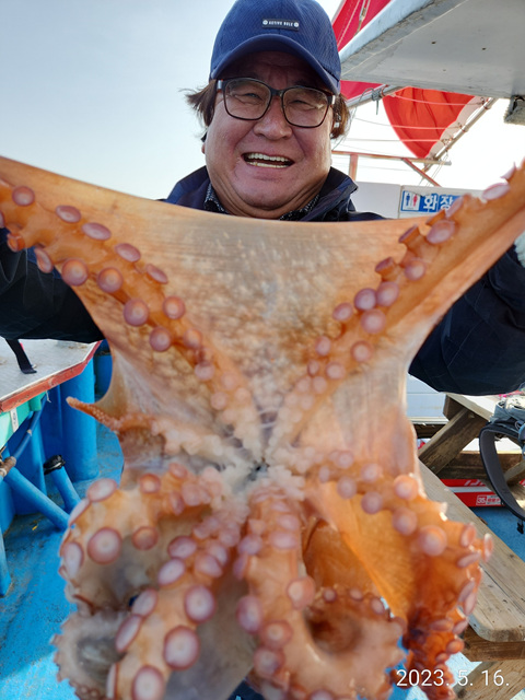 21인승비너스호 문어조황