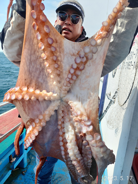 21인승비너스호  왕문어조황  5/17