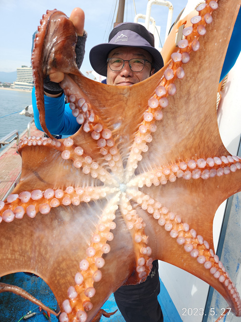 21인승비너스호 문어조황   5/27