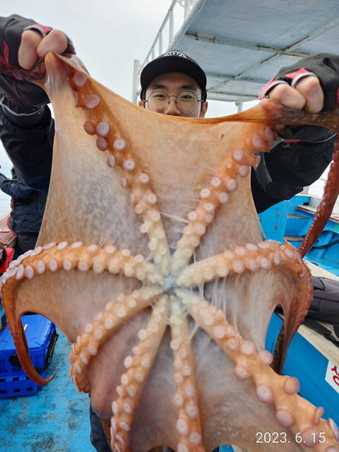 21인승비너스호 문어대박