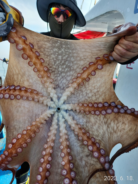 21인승 비너스호 앙문어대박 6/18