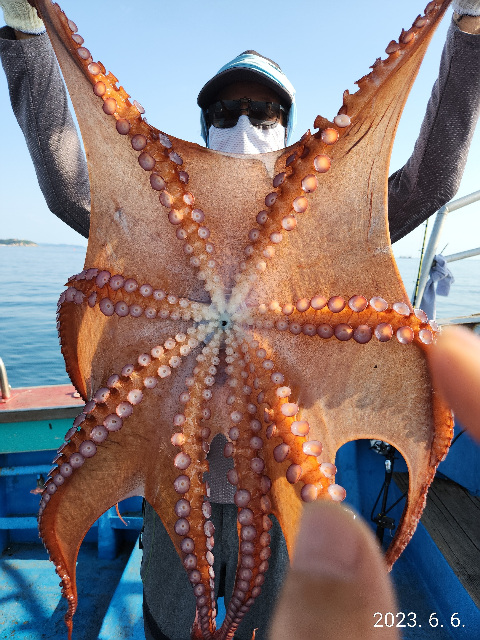 21인승비너스호문어조황