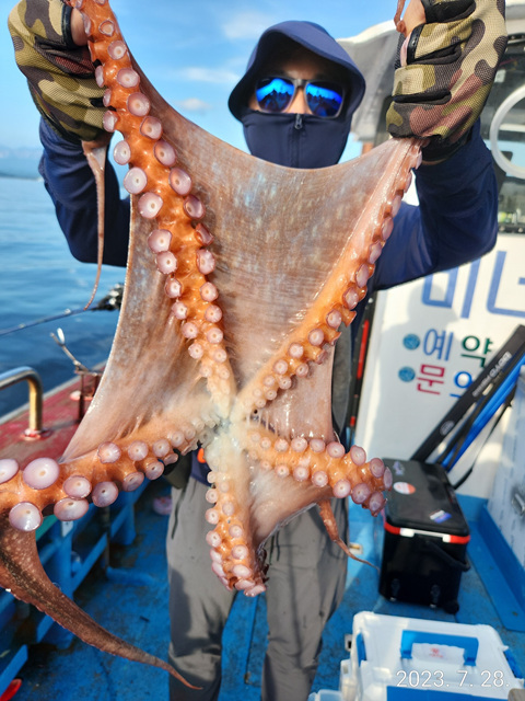 21인승비너스호 문어조황