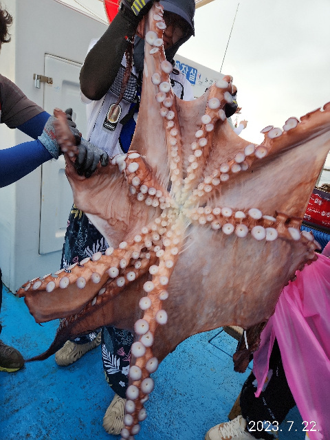 21인승 비너스호 대왕문어 대박