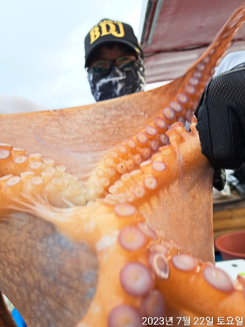 성복호 문어대박