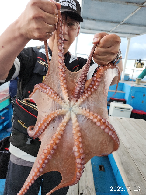 21인승비너스호문어조황