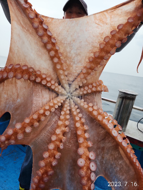 21인승 비너스호 문어대박 7/16