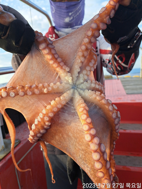 성복호  중문어대박