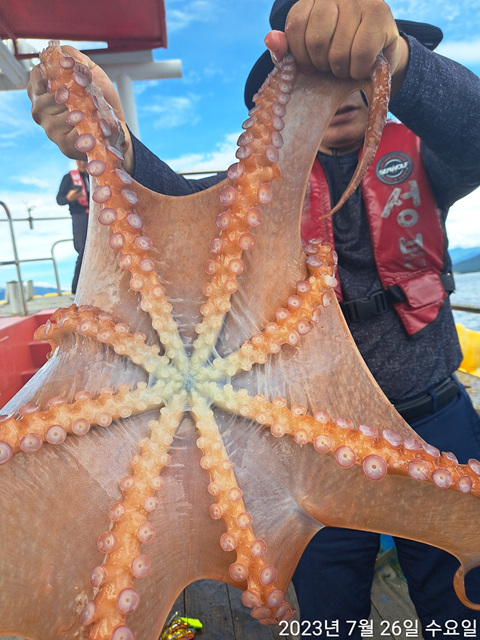 성복호 문어조황