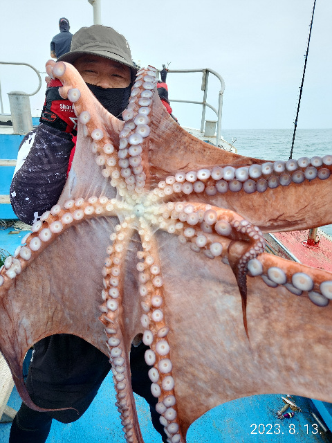 21인승 비너스호 대왕문어 , 왕대구조황  8/13