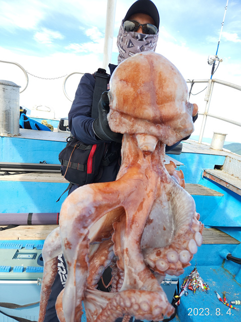 21인승 비너스호 대왕문어조황 8/4