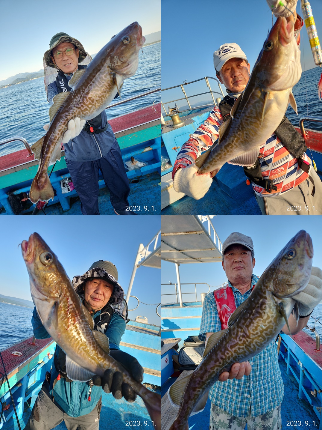 21인승 비너스호 왕대구 쿨러대박