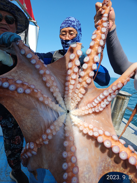 21인승 비너스호 대왕문어대박