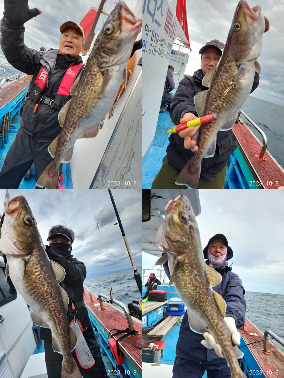 21인승 비너스호 왕대구 쿨러조황